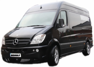 sprinter_ganz-large.jpg
